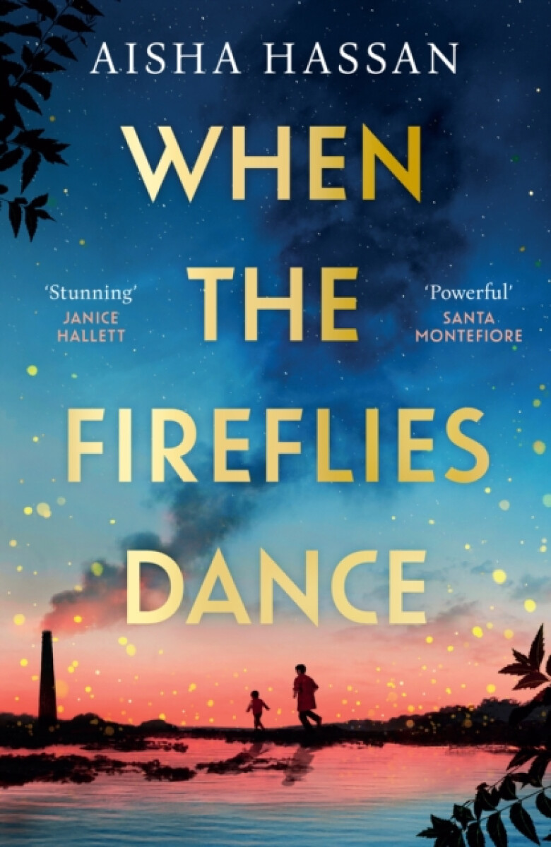 Kniha When the Fireflies Dance