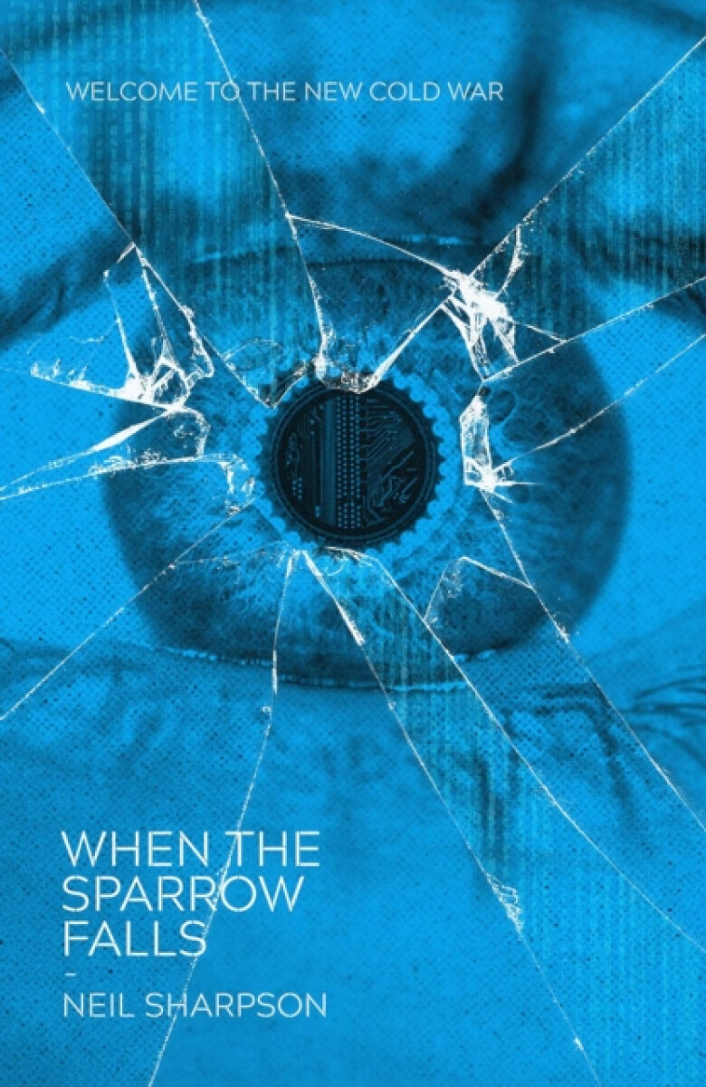 Kniha When The Sparrow Falls