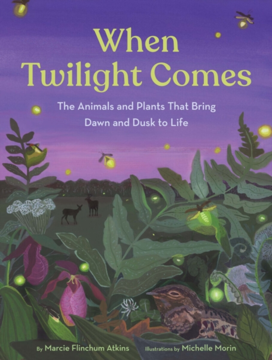 Kniha When Twilight Comes