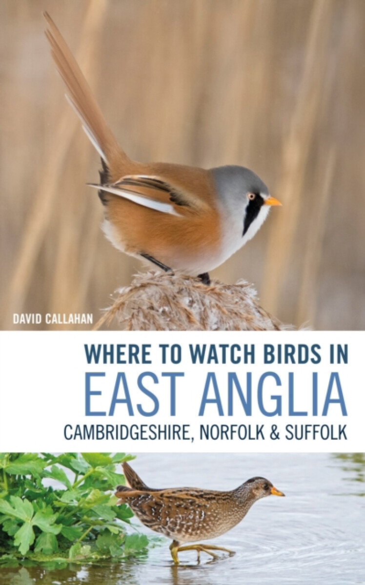 Kniha Where to Watch Birds in East Anglia