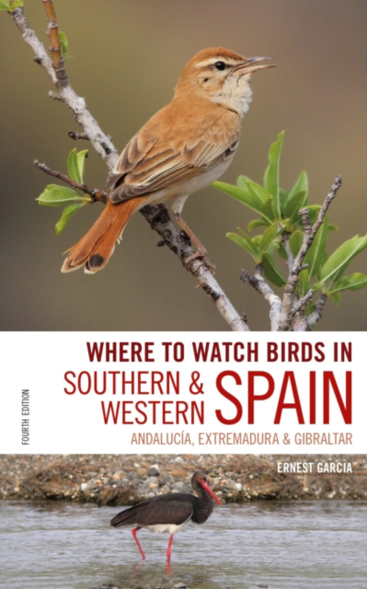 Kniha Where to Watch Birds in Southern and Western Spain