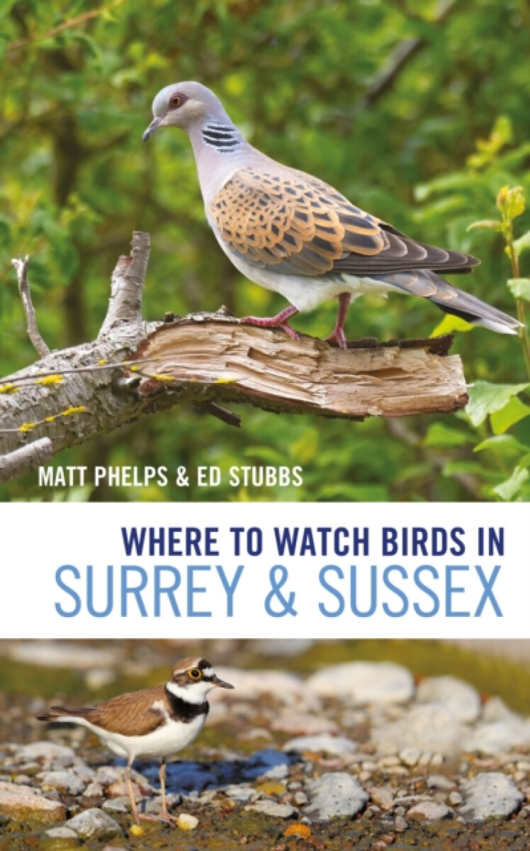 Kniha Where to Watch Birds in Surrey and Sussex