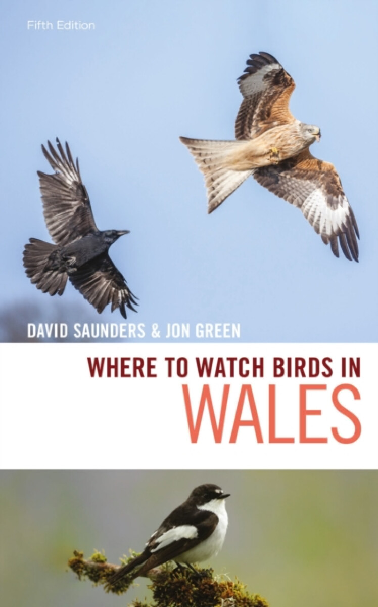Kniha Where to Watch Birds in Wales