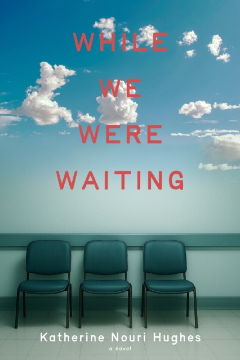 Delphinium Books, Inc While We Were Waiting - Hughes, Katherine Nouri