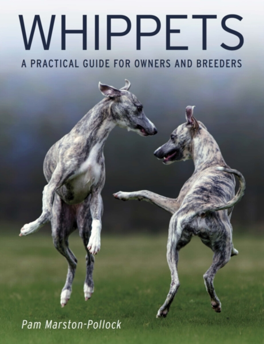 Kniha Whippets