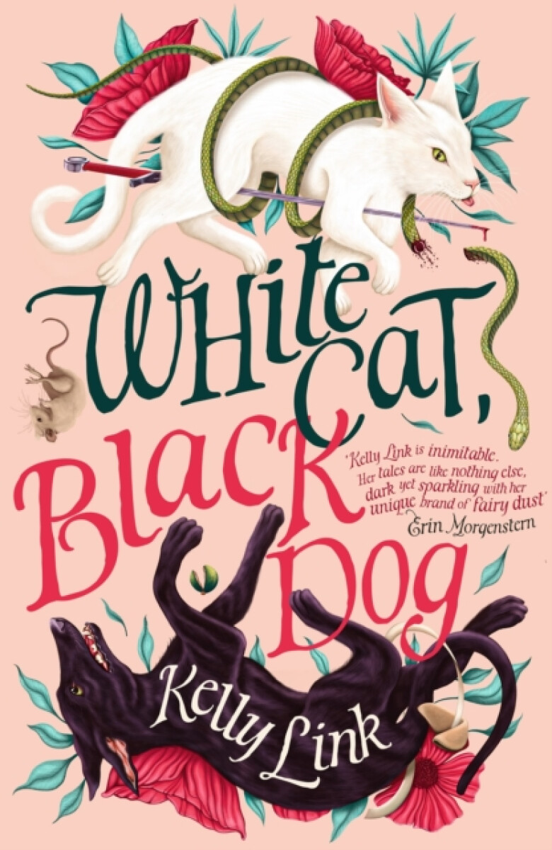 Kniha White Cat, Black Dog