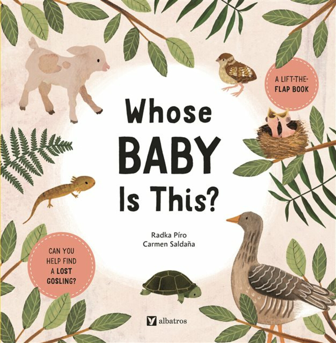 Kniha Whose Baby Is This?