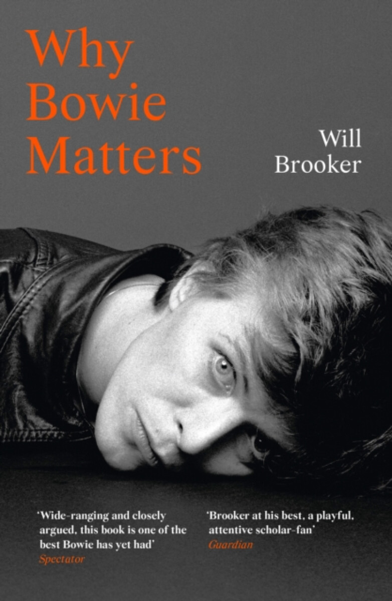 Kniha Why Bowie Matters