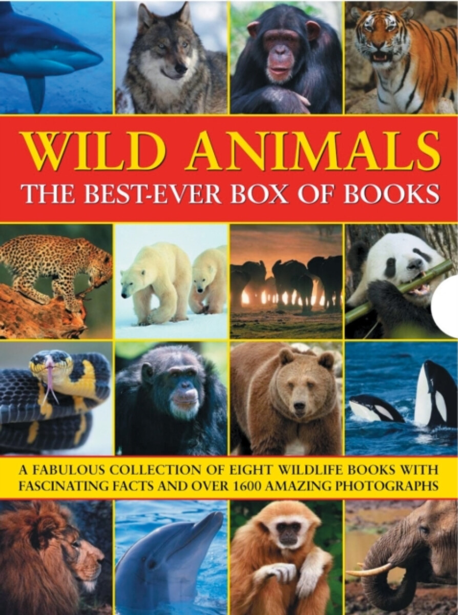 Kniha Wild Animals Best Ever Box of Books