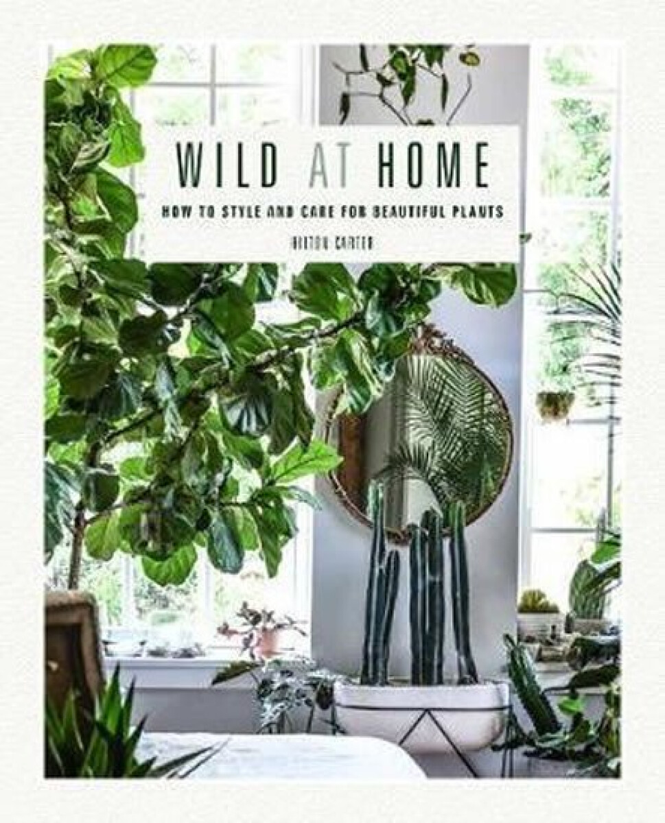Kniha Wild at Home
