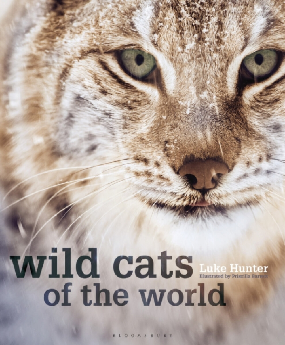 Kniha Wild Cats of the World
