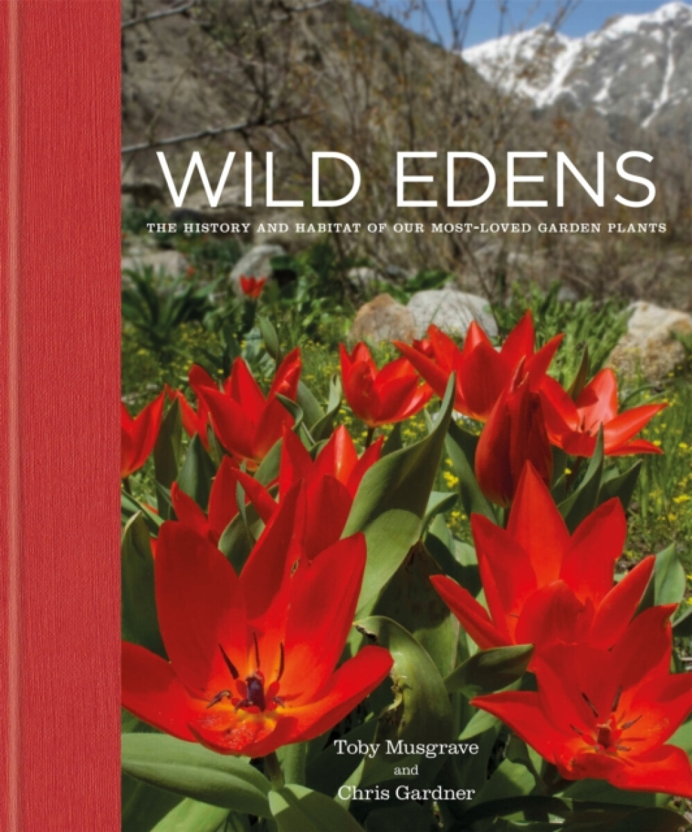 Kniha Wild Edens