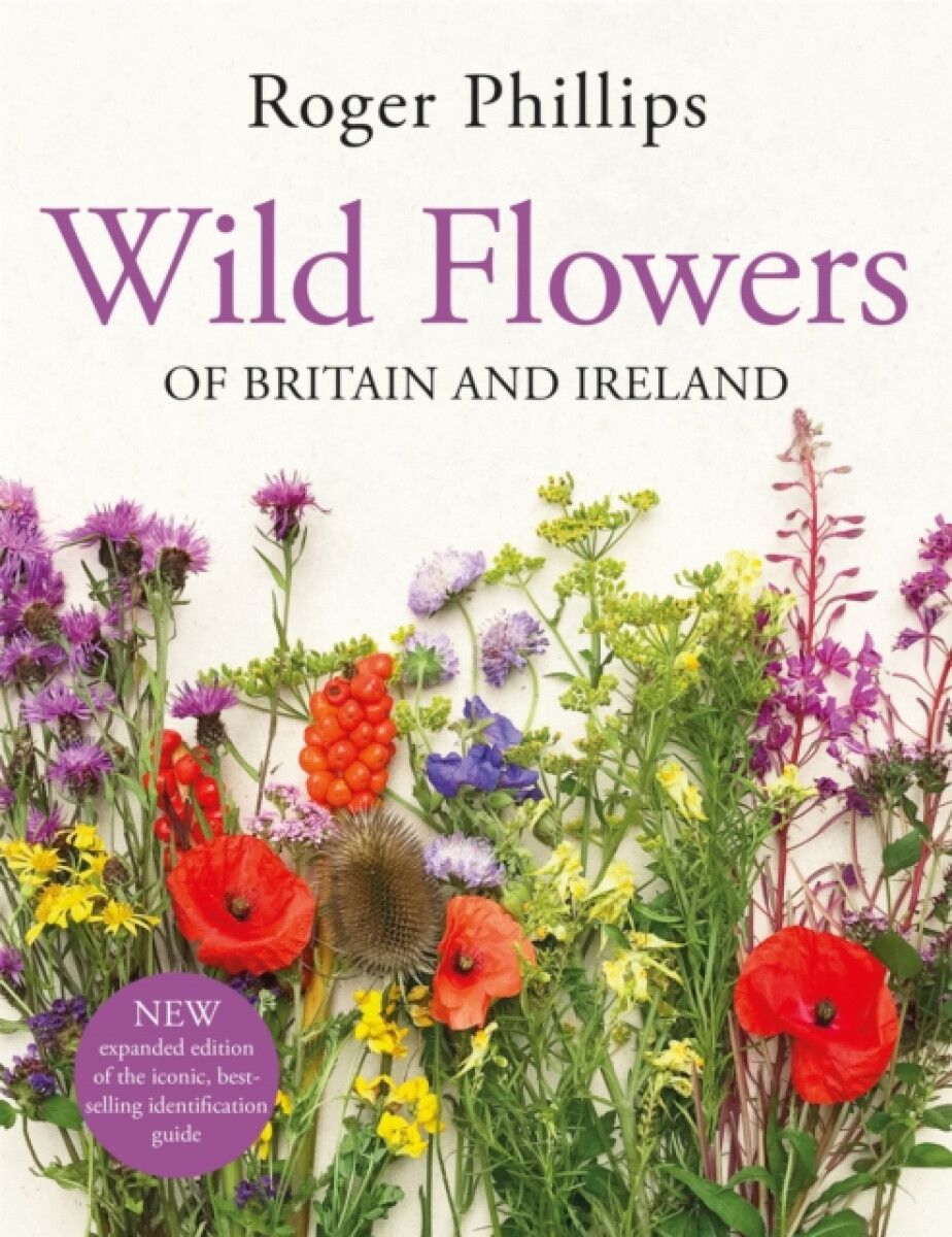 Kniha Wild Flowers Of Britain & Ireland