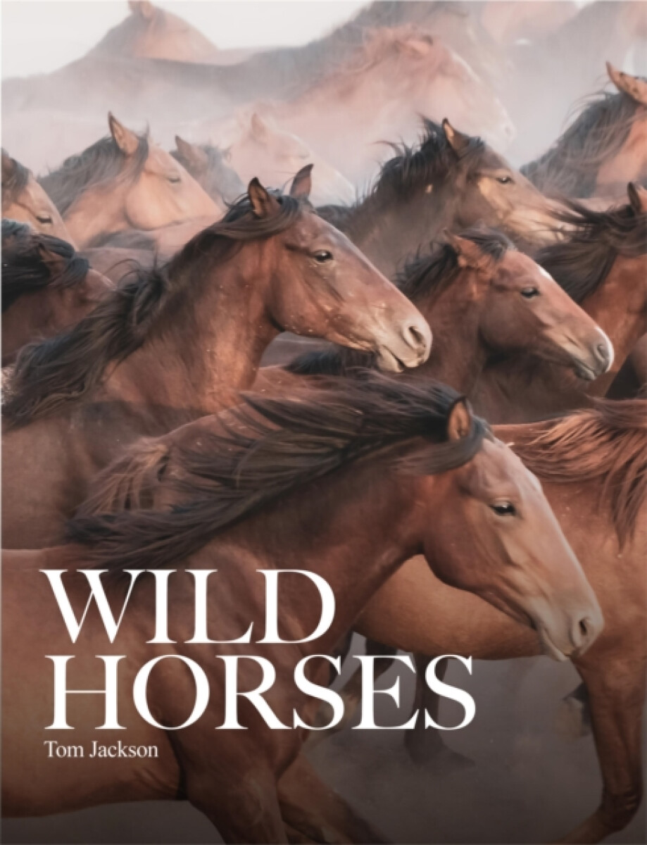 Kniha Wild Horses