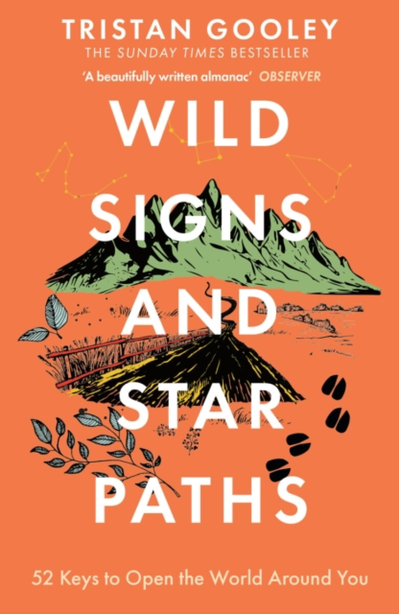 Kniha Wild Signs and Star Paths