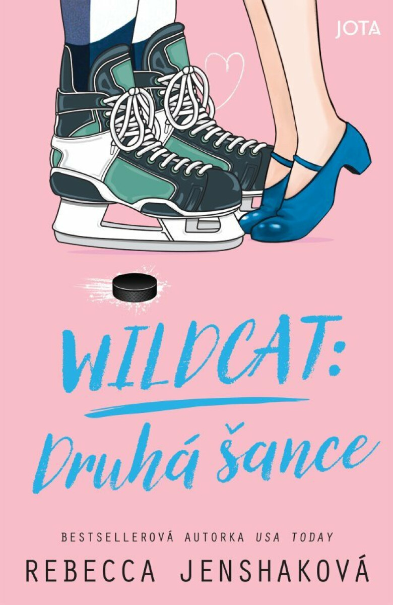 Kniha Wildcat: Druhá šance