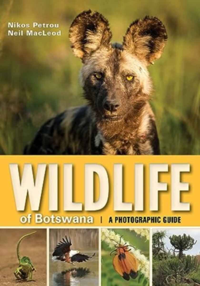 Kniha Wildlife of Botswana