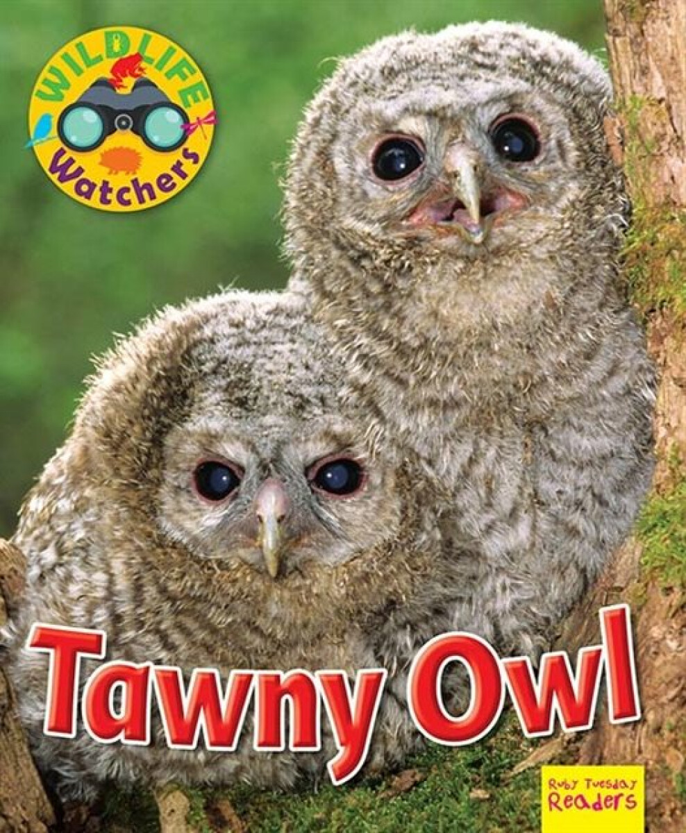 Kniha Wildlife Watchers: Tawny Owl