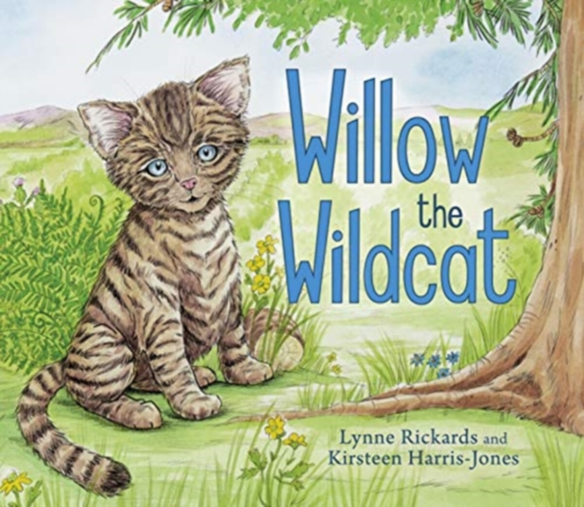 Kniha Willow the Wildcat