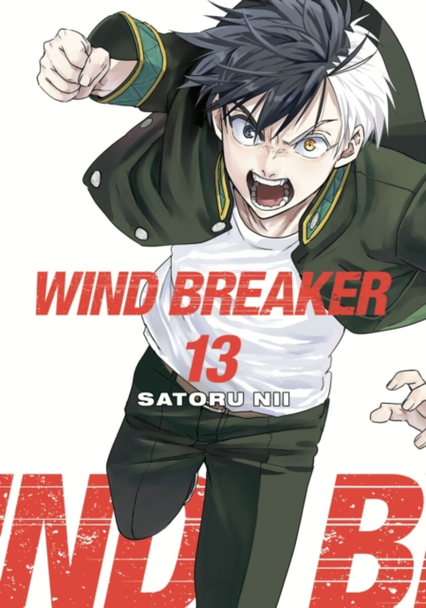 Kniha WIND BREAKER 13