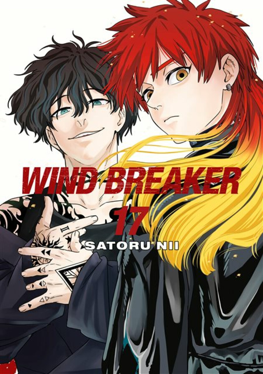 Kniha WIND BREAKER 17