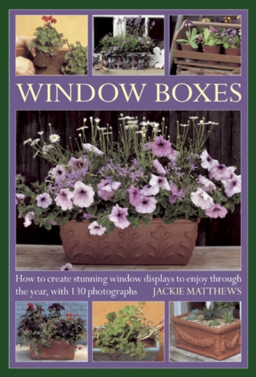 Kniha Window Boxes