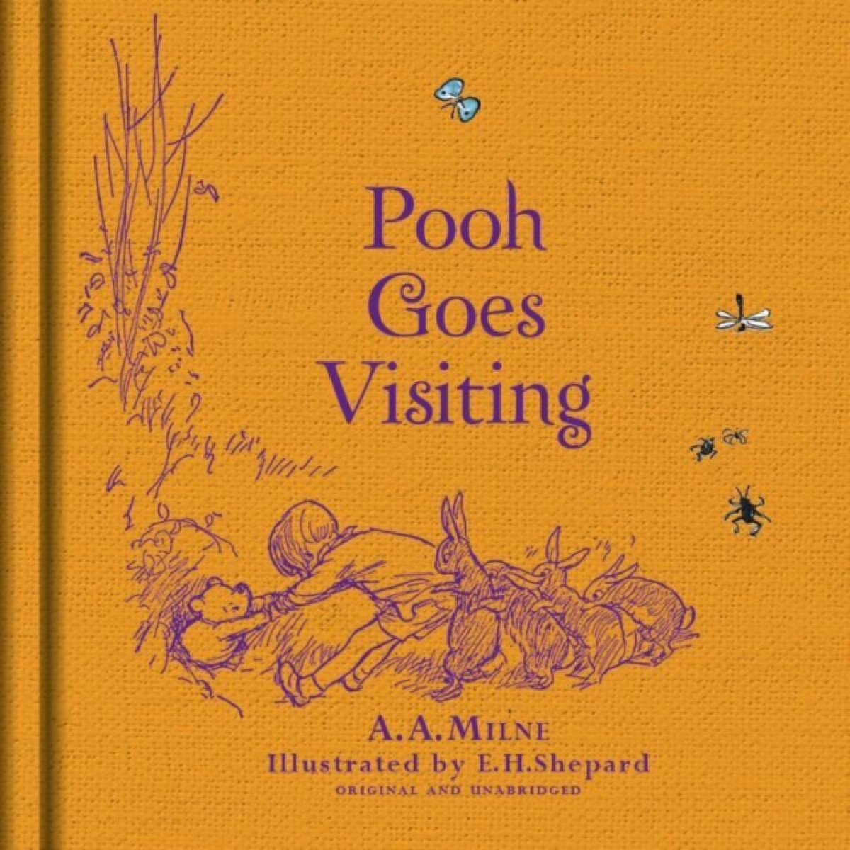 Kniha Winnie-the-Pooh: Pooh Goes Visiting
