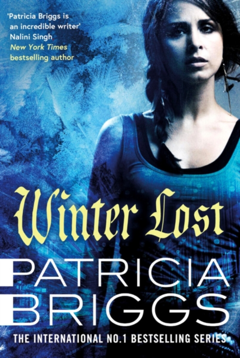 Kniha Winter Lost