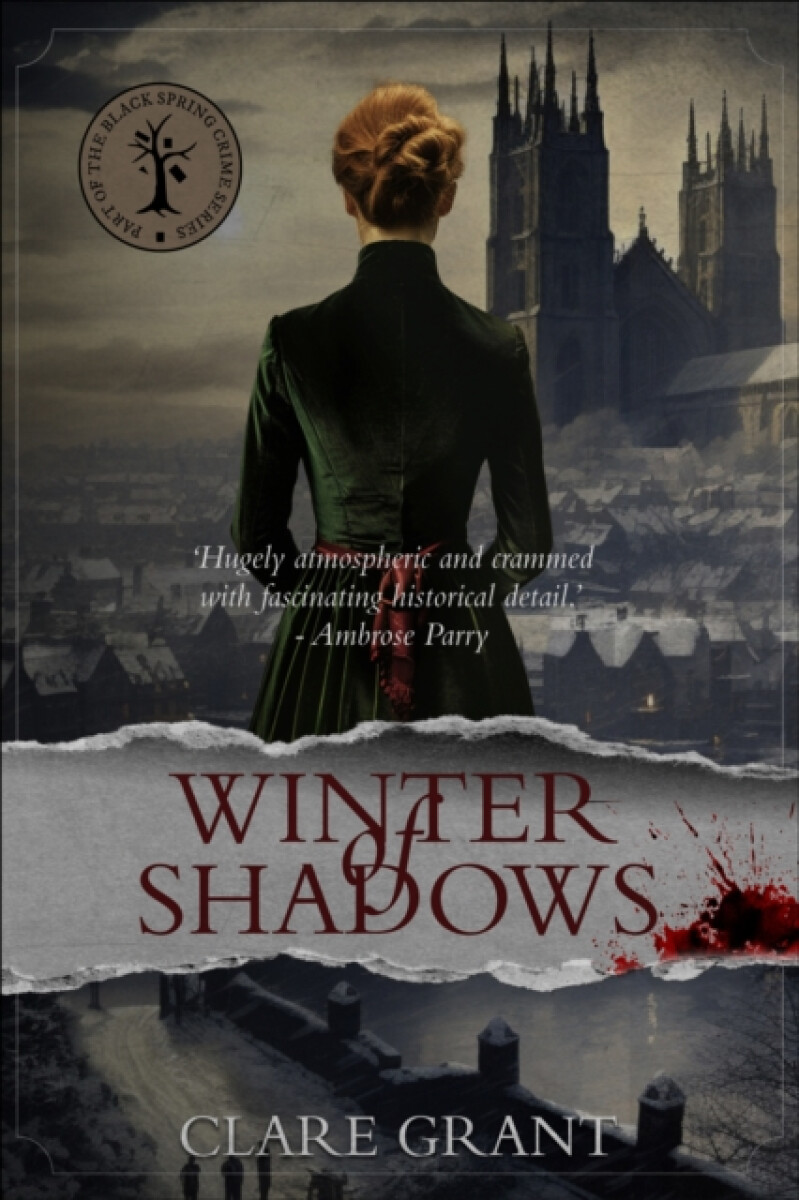 Kniha Winter of Shadows