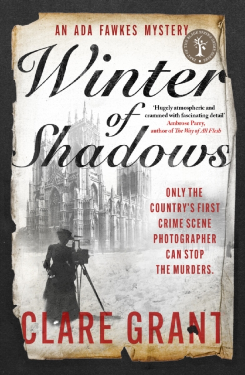 Kniha Winter of Shadows