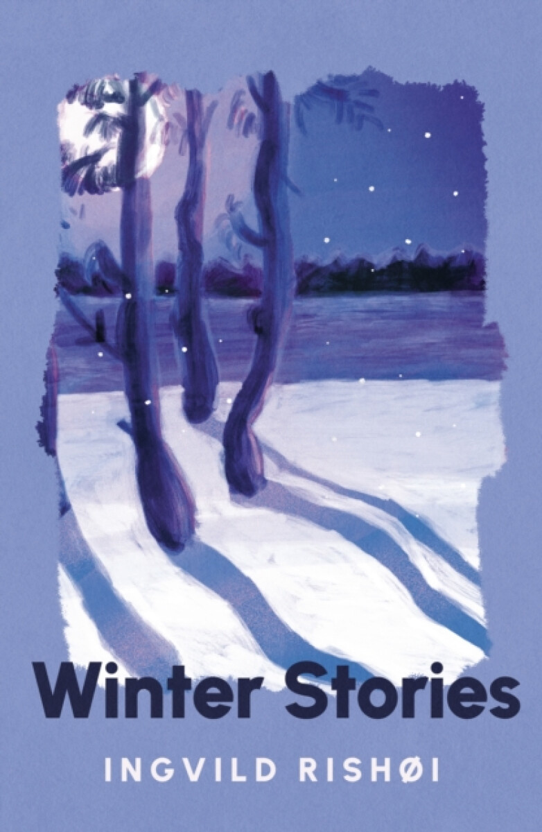 Kniha Winter Stories