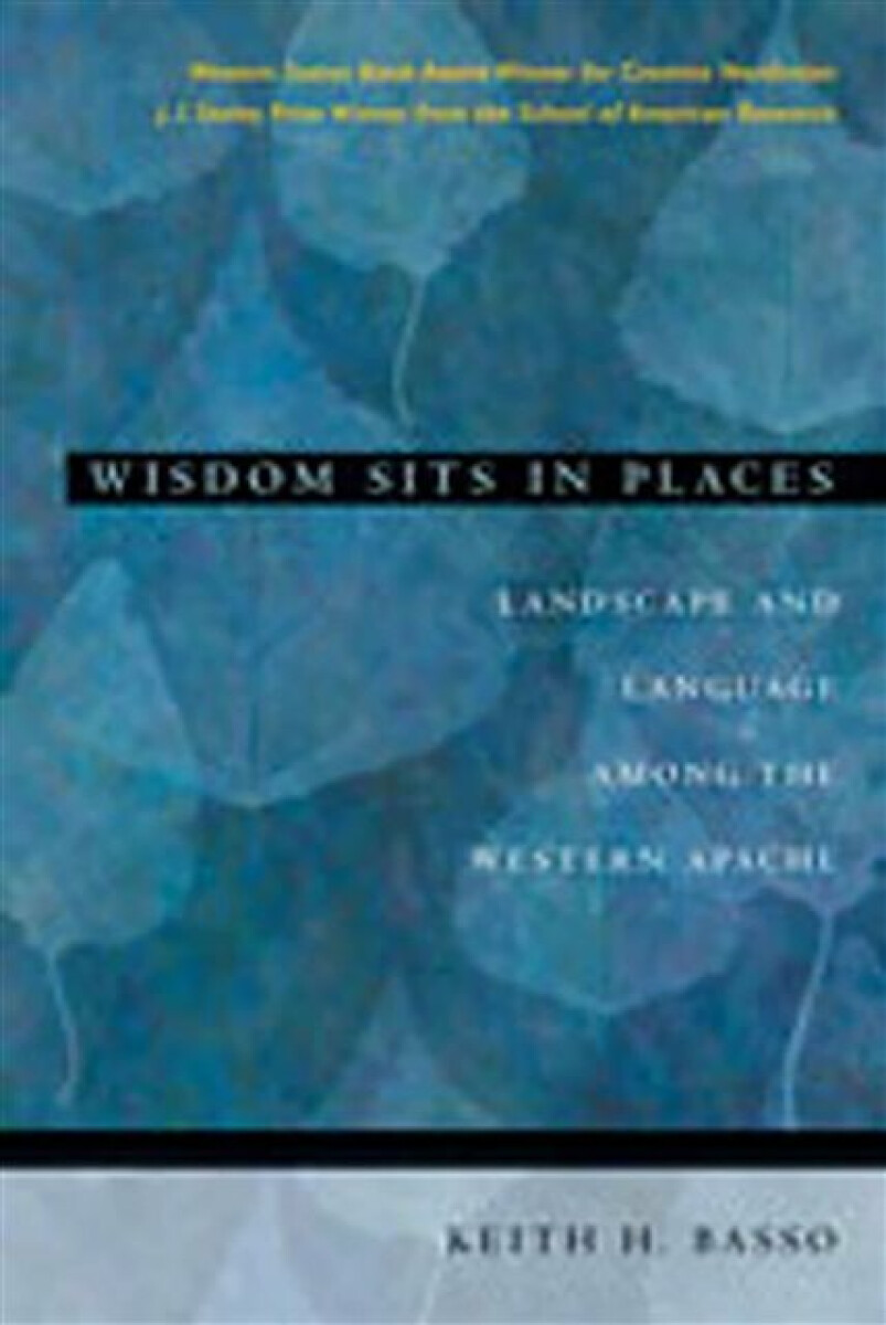 Kniha Wisdom Sits in Places