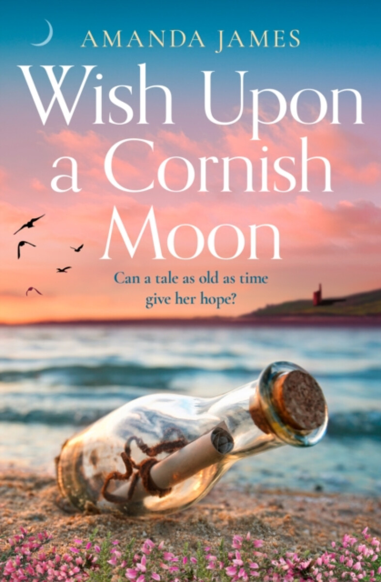 Kniha Wish Upon a Cornish Moon