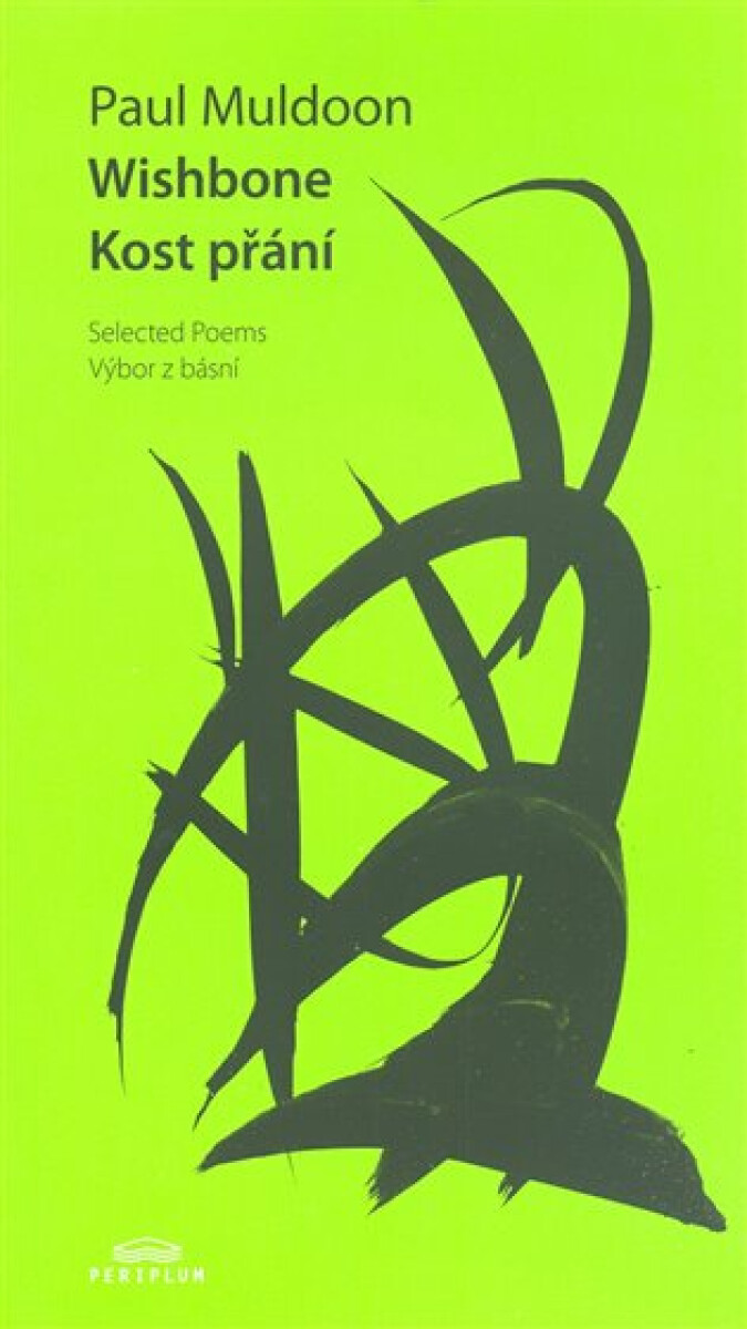 Kniha Wishbone. Kost přání