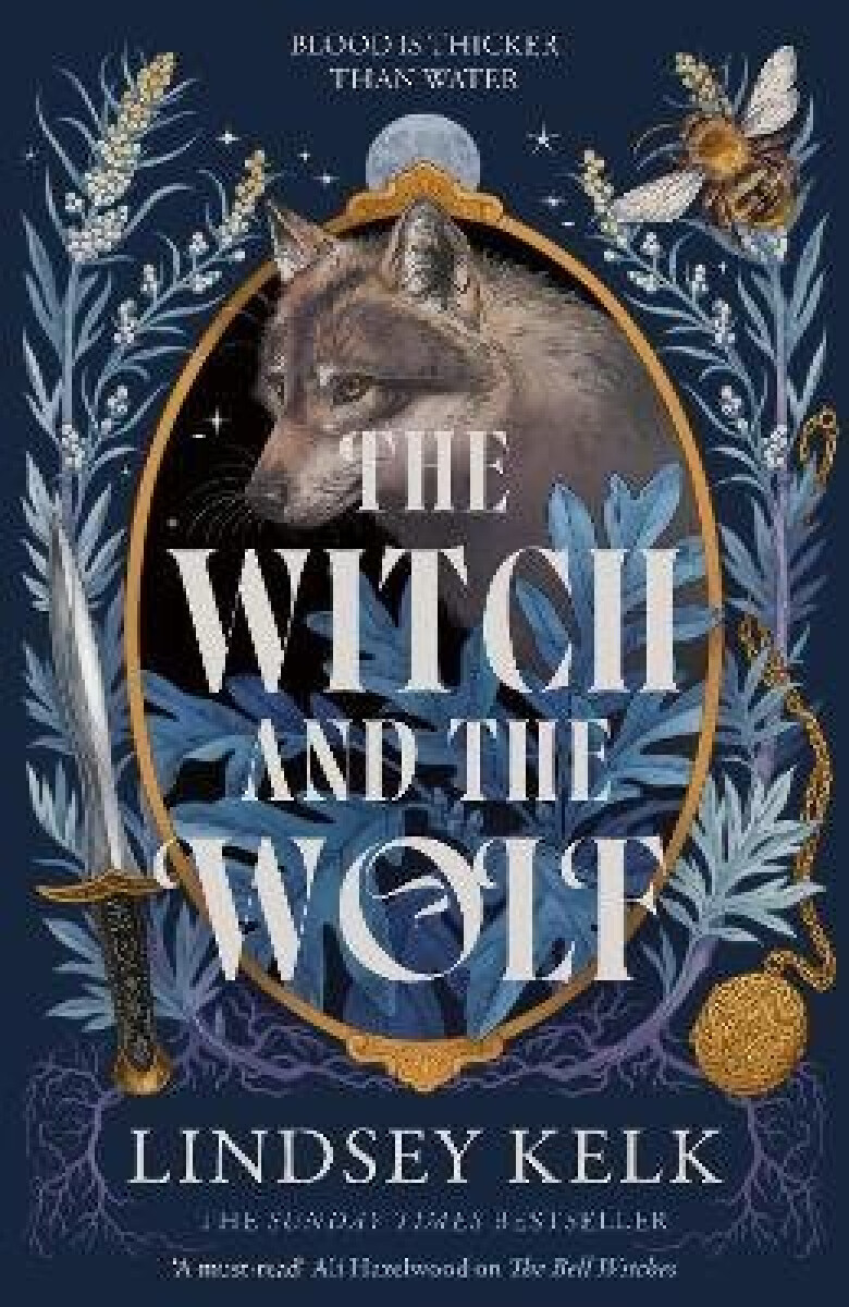 Kniha Witch and the Wolf