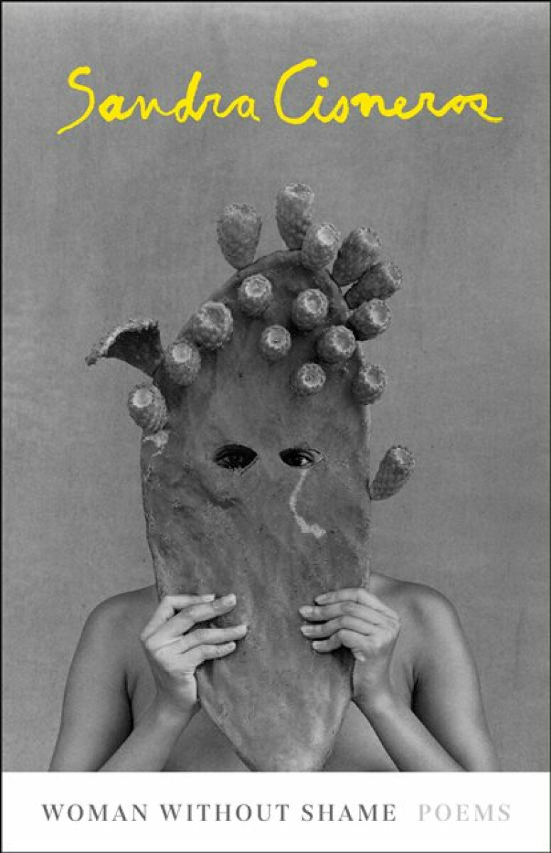 Kniha Women Without Shame