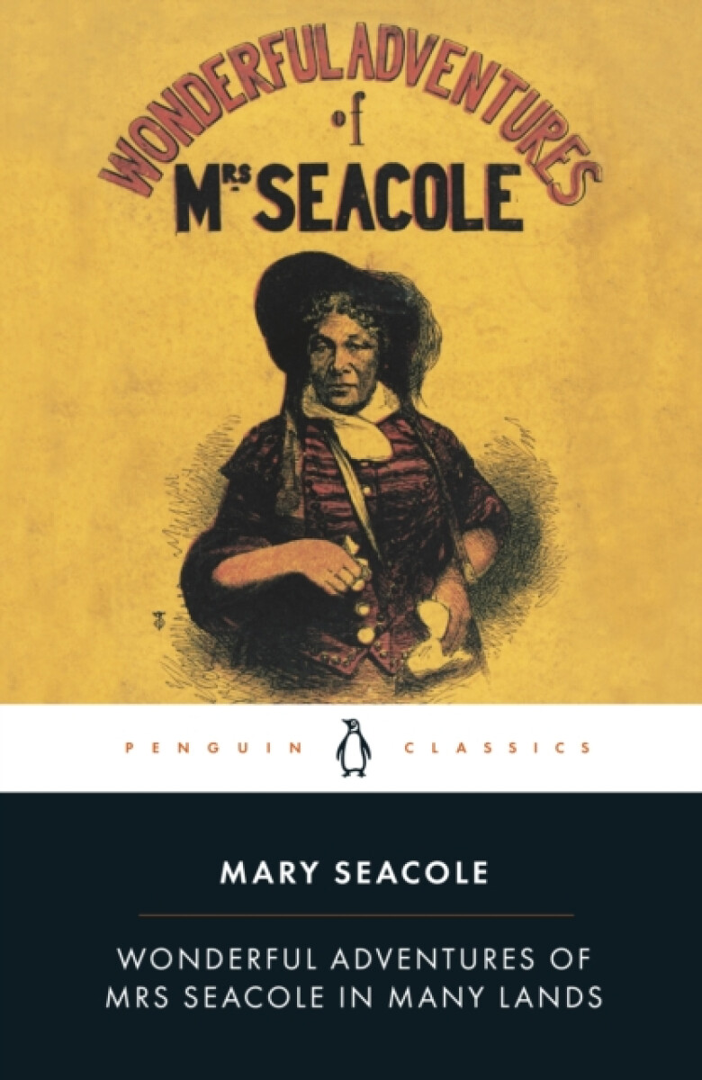 Kniha Wonderful Adventures of Mrs Seacole in Many Lands