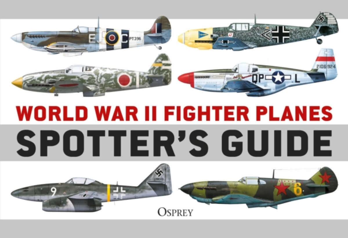 Kniha World War II Fighter Planes Spotter's Guide