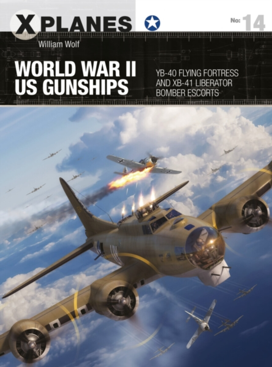 Kniha World War II US Gunships