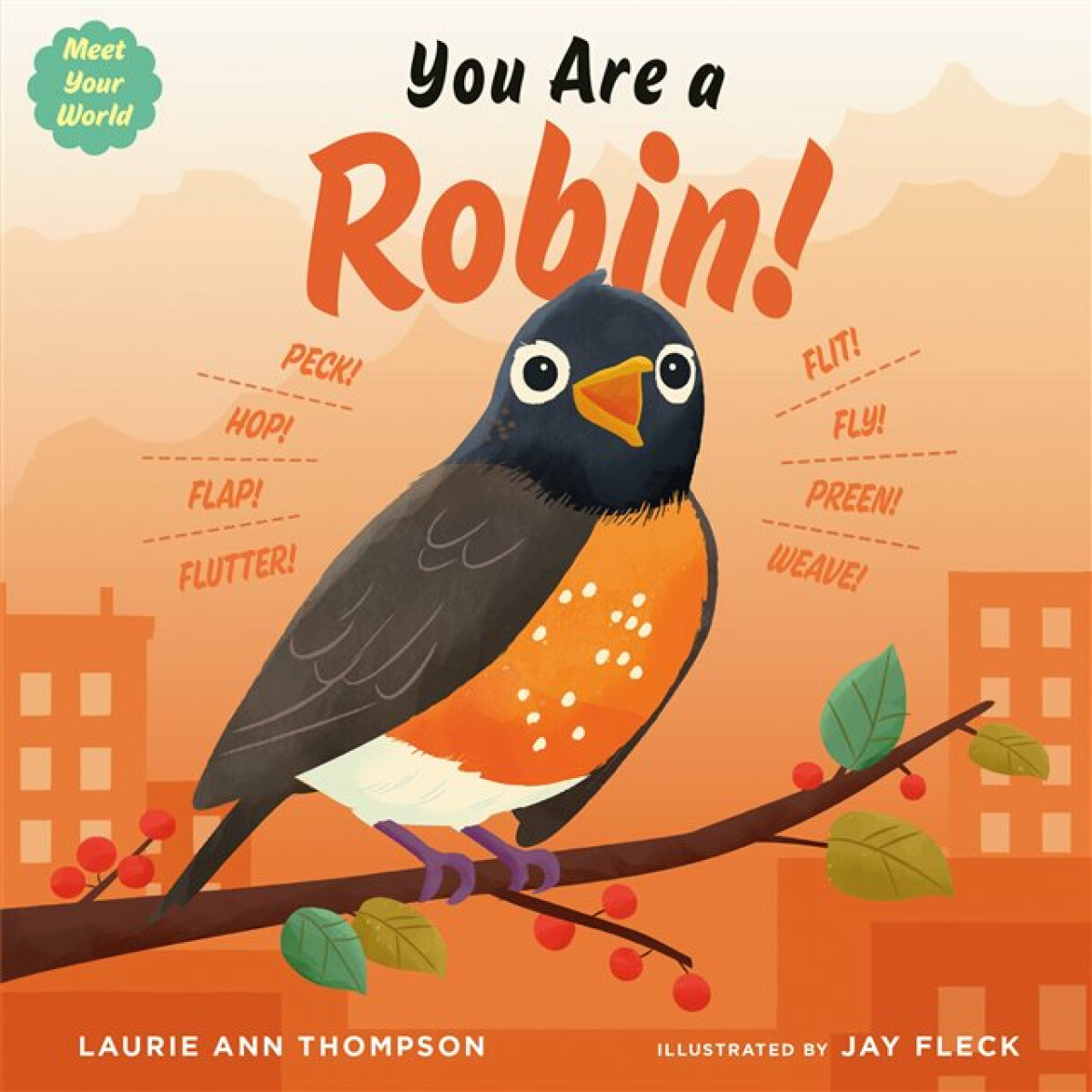 Kniha You Are a Robin!