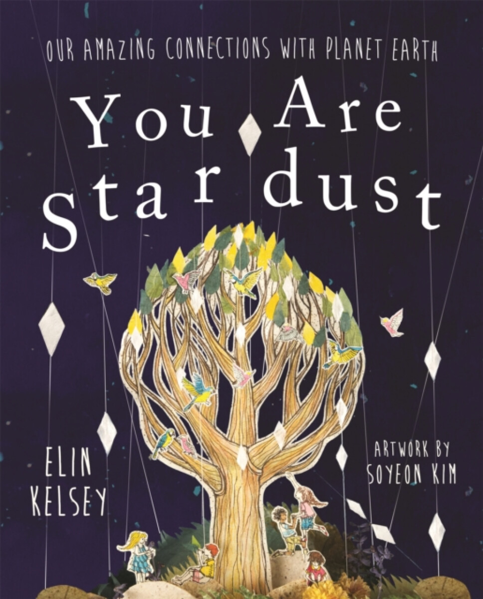 Kniha You are Stardust