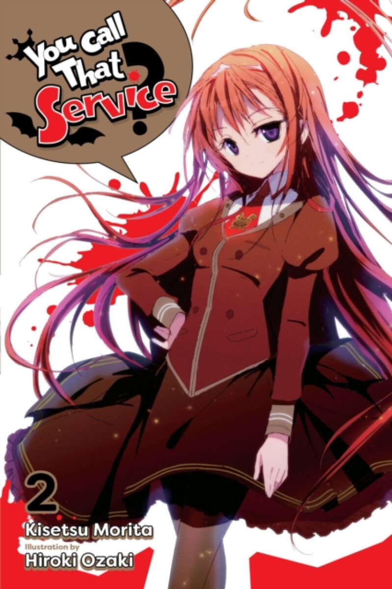 Kniha You Call That Service?, Vol. 2 (light novel)