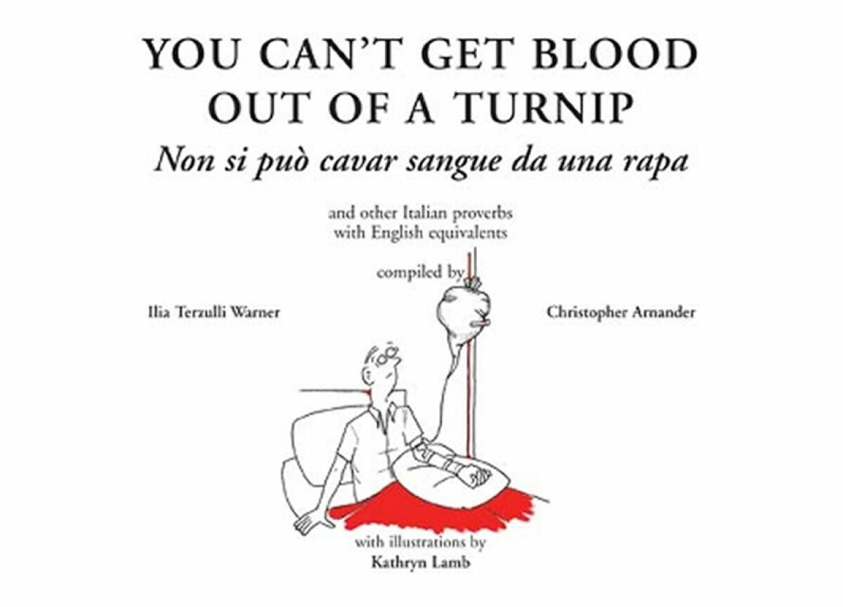 Kniha You can't get blood out of a turnip