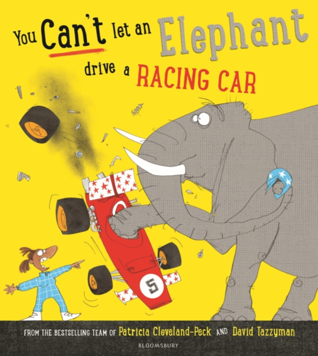 Kniha You Can't Let an Elephant Drive a Racing Car