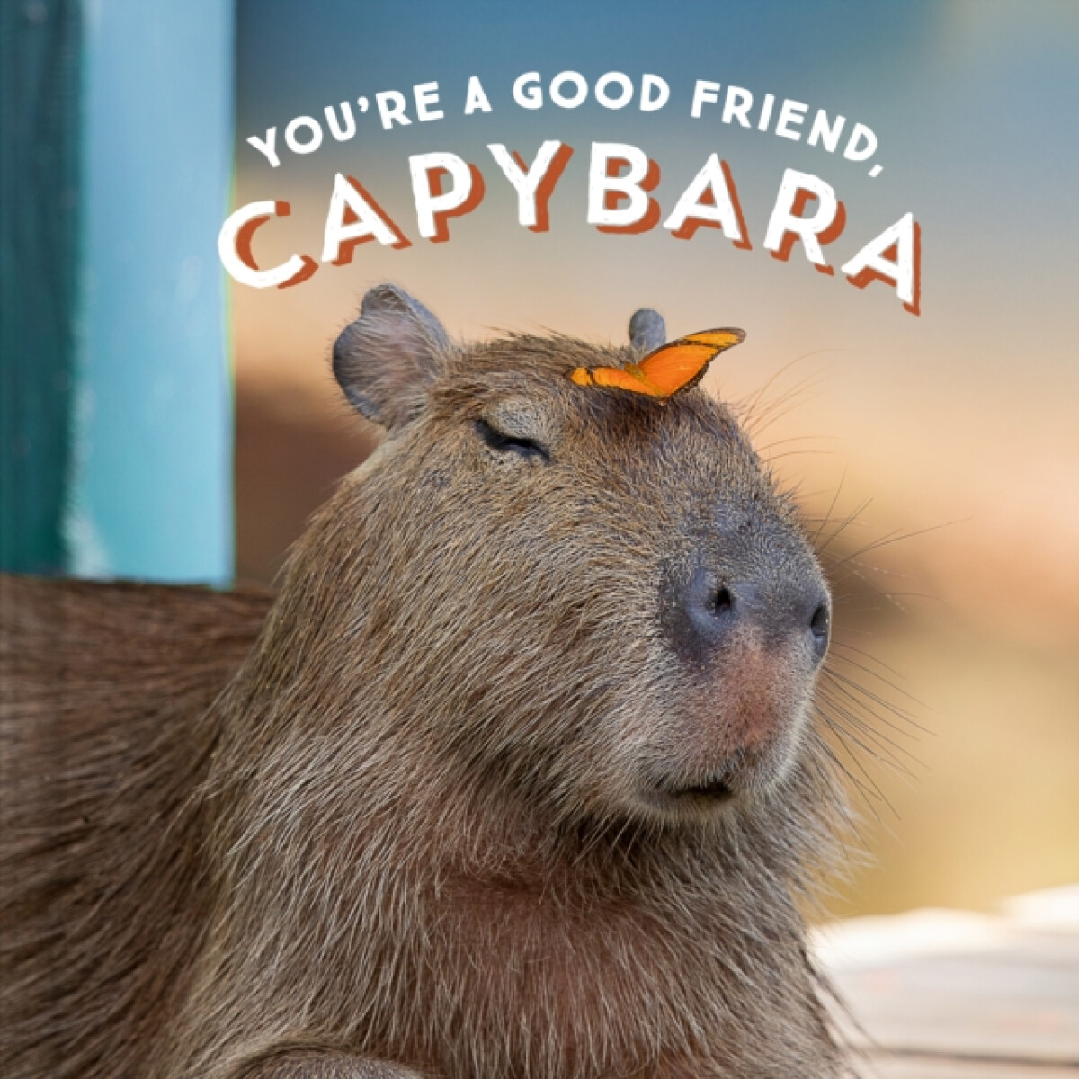 Kniha You're a Good Friend, Capybara