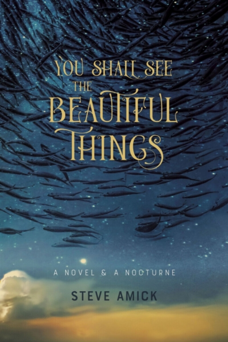 Kniha You Shall See the Beautiful Things – A Novel a A Nocturne
