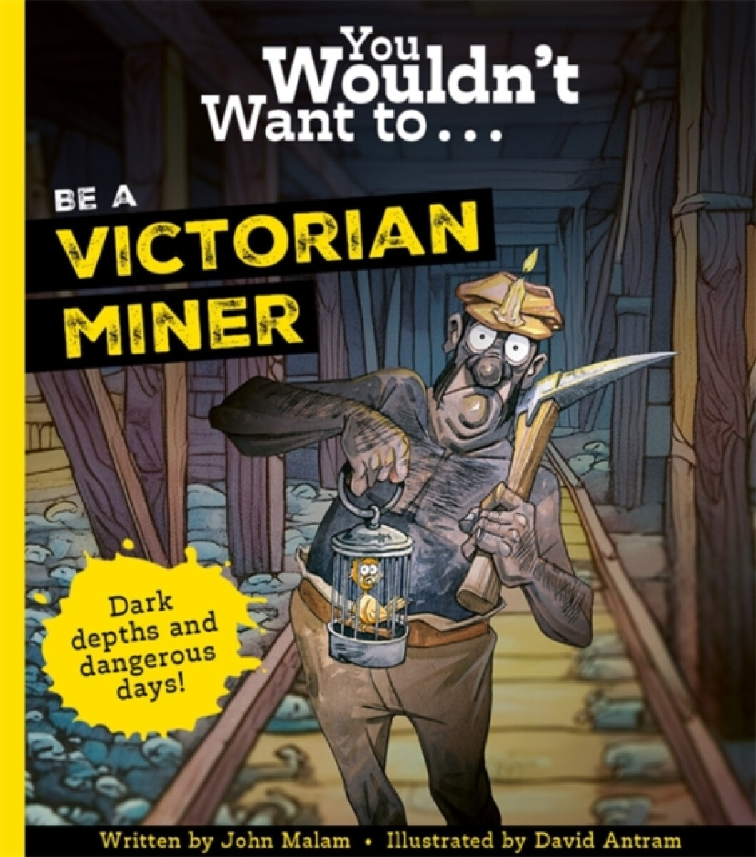 Kniha You Wouldn't Want To Be A Victorian Miner!