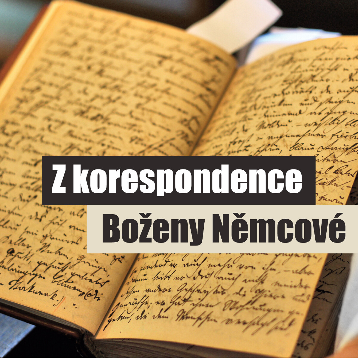 Levně Z korespondence Boženy Němcové - Božena Němcová - audiokniha