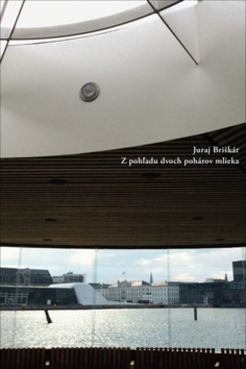 Kniha Z pohľadu dvoch pohárov mlieka