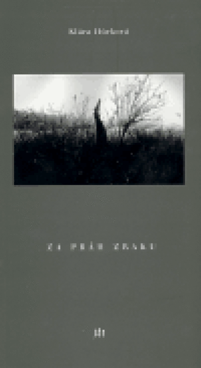 Kniha Za práh zraku